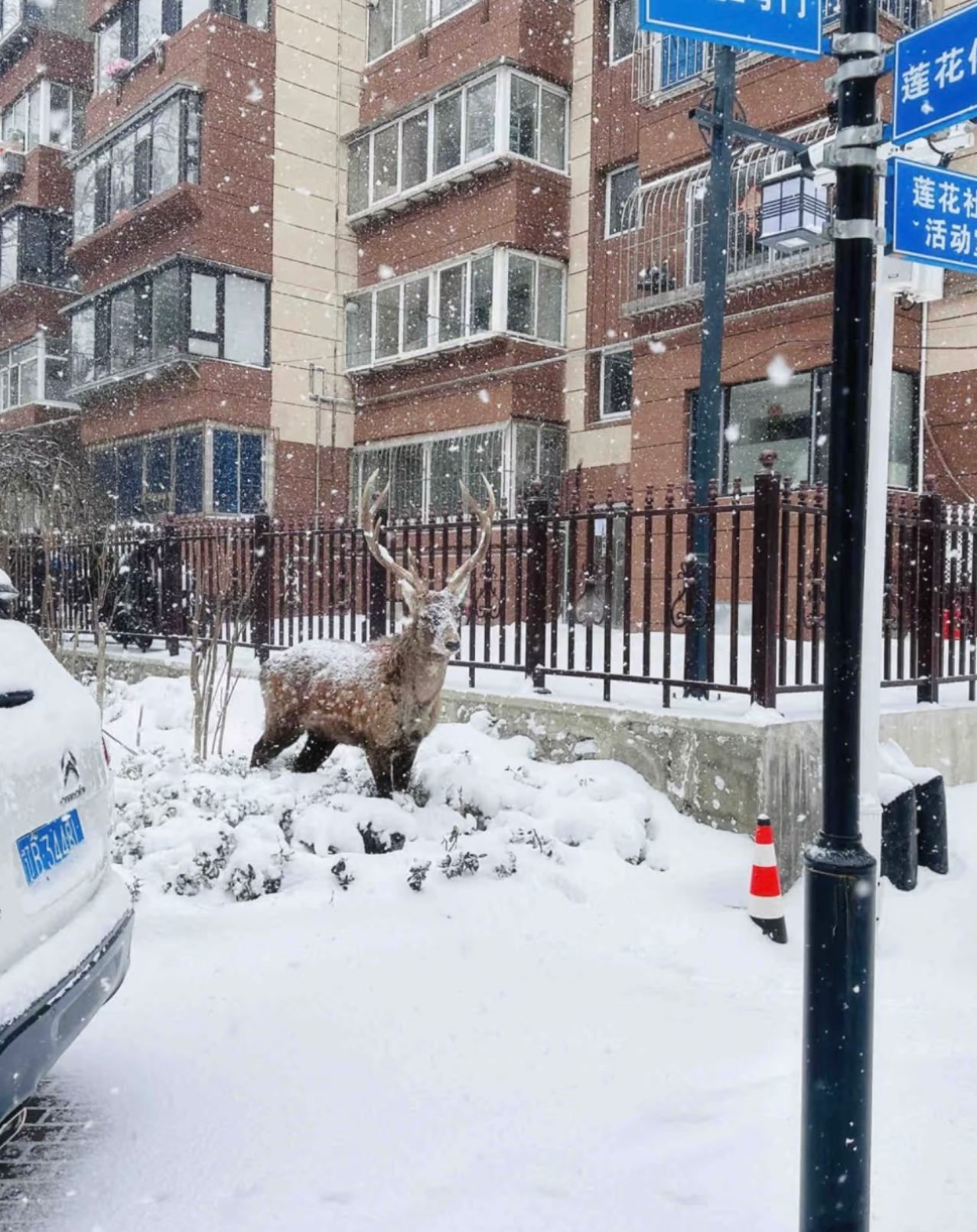 ฮาร์บิน