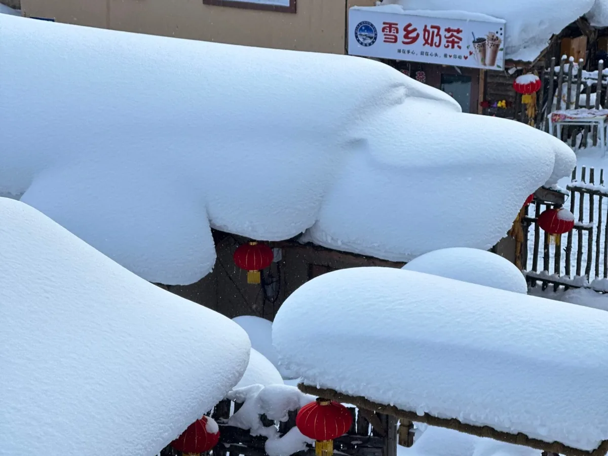 หิมะก้อนกลมหนาบนหลังคาบ้านไม้ในหมู่บ้านหิมะ Snow Town (雪乡) มีโคมแดงและป้ายร้าน 雪乡奶茶